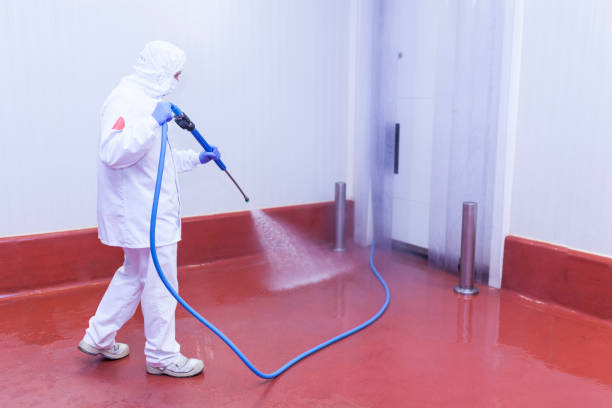 Best Heavy Equipment Washing  in Collings Lakes, NJ